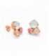 Pendientes Plata con Cristales de Swarovski A3348-87T